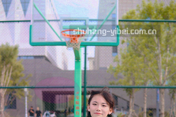 书签叠加与历史记录曲线